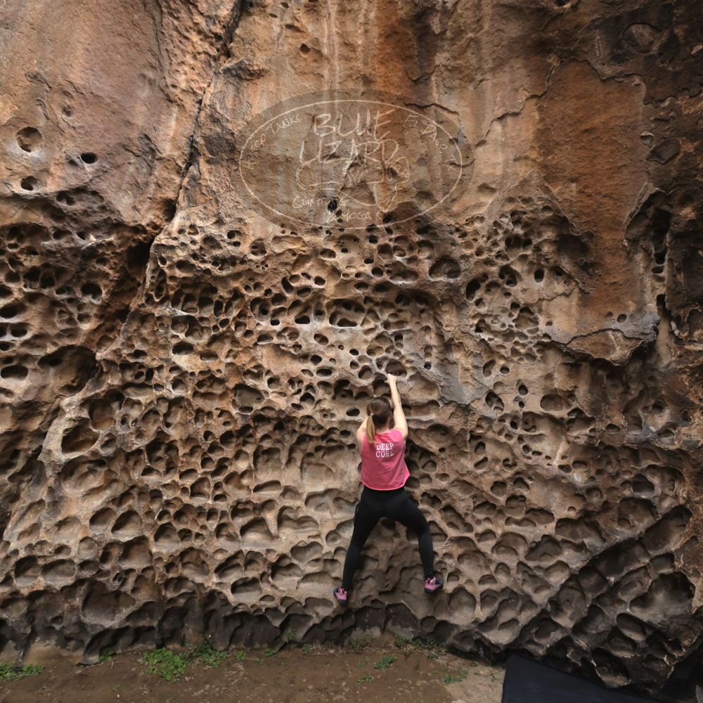 

Filename: SRM_20240331_0853030.jpg
Aperture: f/5.6
Shutter Speed: 1/160
Body: Canon EOS R6
Lens: Canon EF 16-35mm f/2.8 L