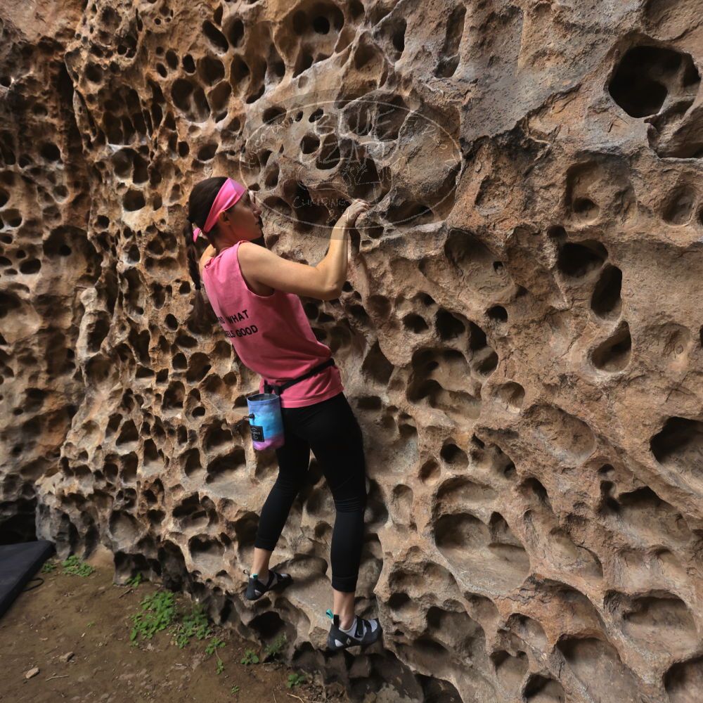 

Filename: SRM_20240331_0903270.jpg
Aperture: f/5.6
Shutter Speed: 1/160
Body: Canon EOS R6
Lens: Canon EF 16-35mm f/2.8 L