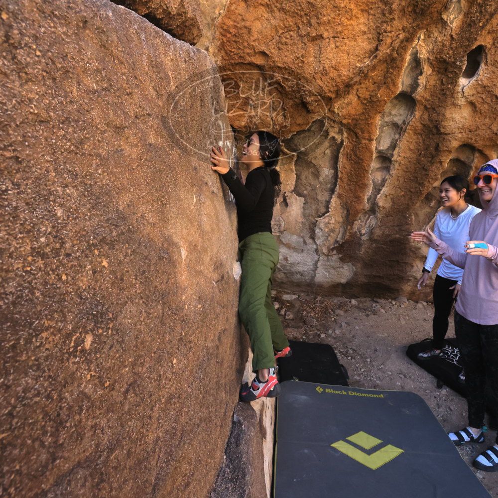 

Filename: SRM_20241110_1056290.jpg
Aperture: f/8.0
Shutter Speed: 1/320
Body: Canon EOS R6
Lens: Canon EF 16-35mm f/2.8 L