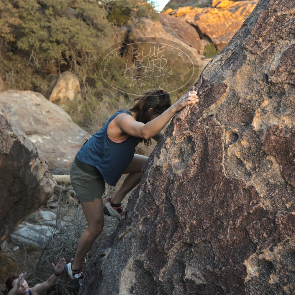 

Filename: SRM_20241110_1651550.jpg
Aperture: f/4.0
Shutter Speed: 1/250
Body: Canon EOS R6
Lens: Canon EF 16-35mm f/2.8 L