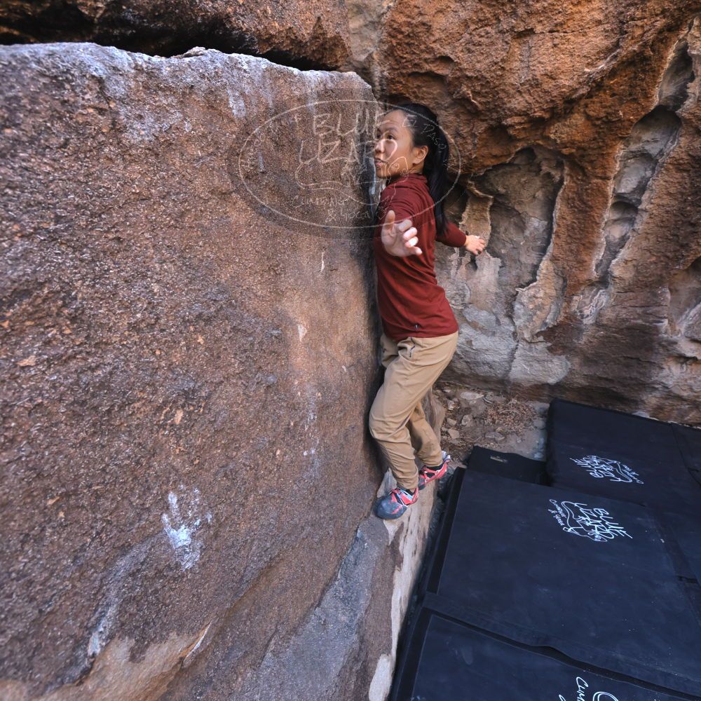 

Filename: SRM_20250102_0949570.jpg
Aperture: f/5.6
Shutter Speed: 1/250
Body: Canon EOS R6
Lens: Canon EF 16-35mm f/2.8 L