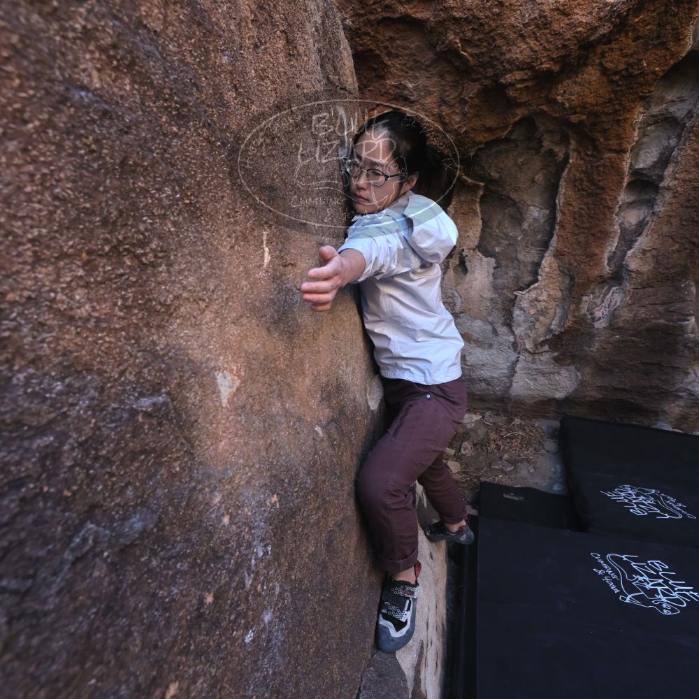 

Filename: SRM_20250102_0951130.jpg
Aperture: f/5.6
Shutter Speed: 1/250
Body: Canon EOS R6
Lens: Canon EF 16-35mm f/2.8 L