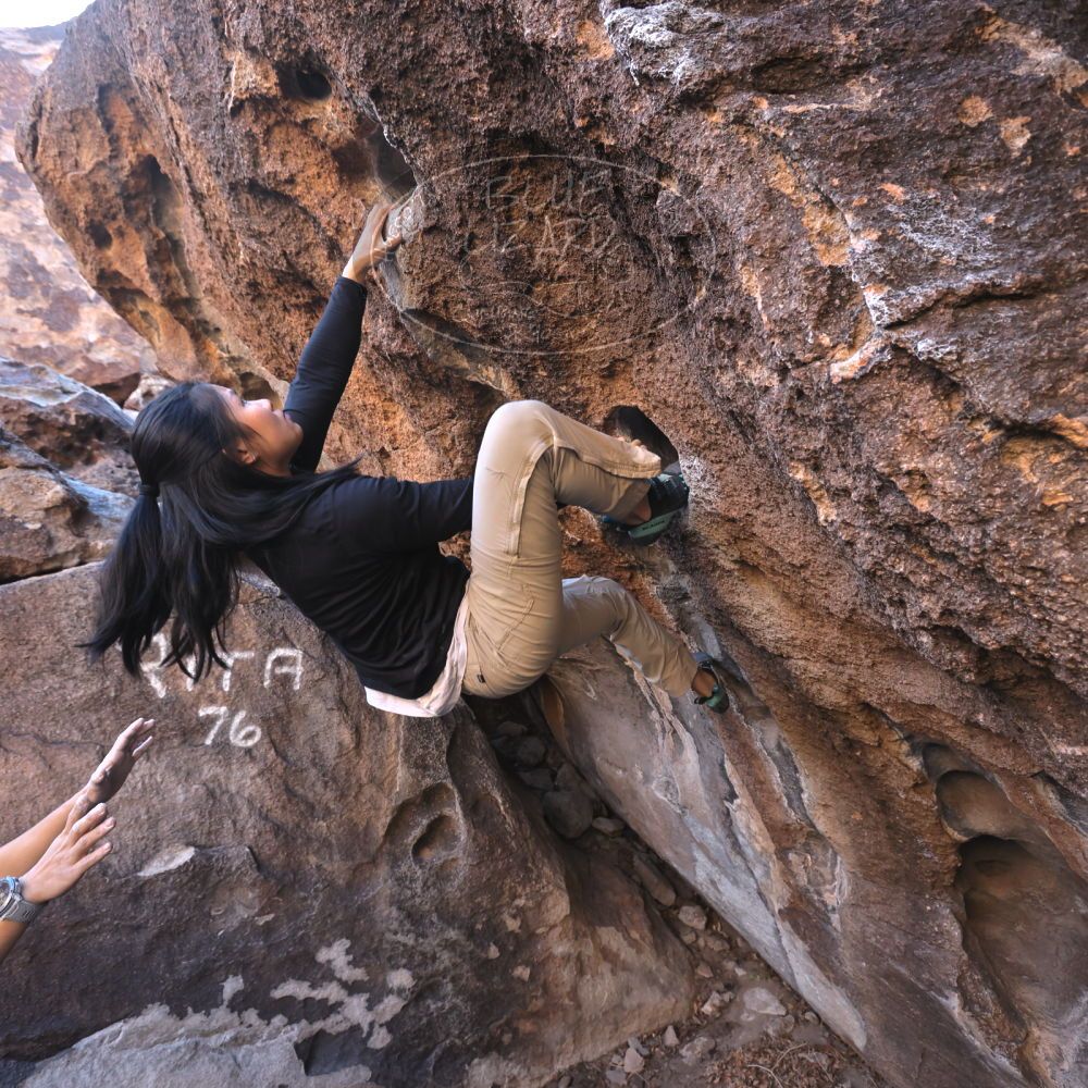 

Filename: SRM_20250102_0952100.jpg
Aperture: f/5.6
Shutter Speed: 1/250
Body: Canon EOS R6
Lens: Canon EF 16-35mm f/2.8 L