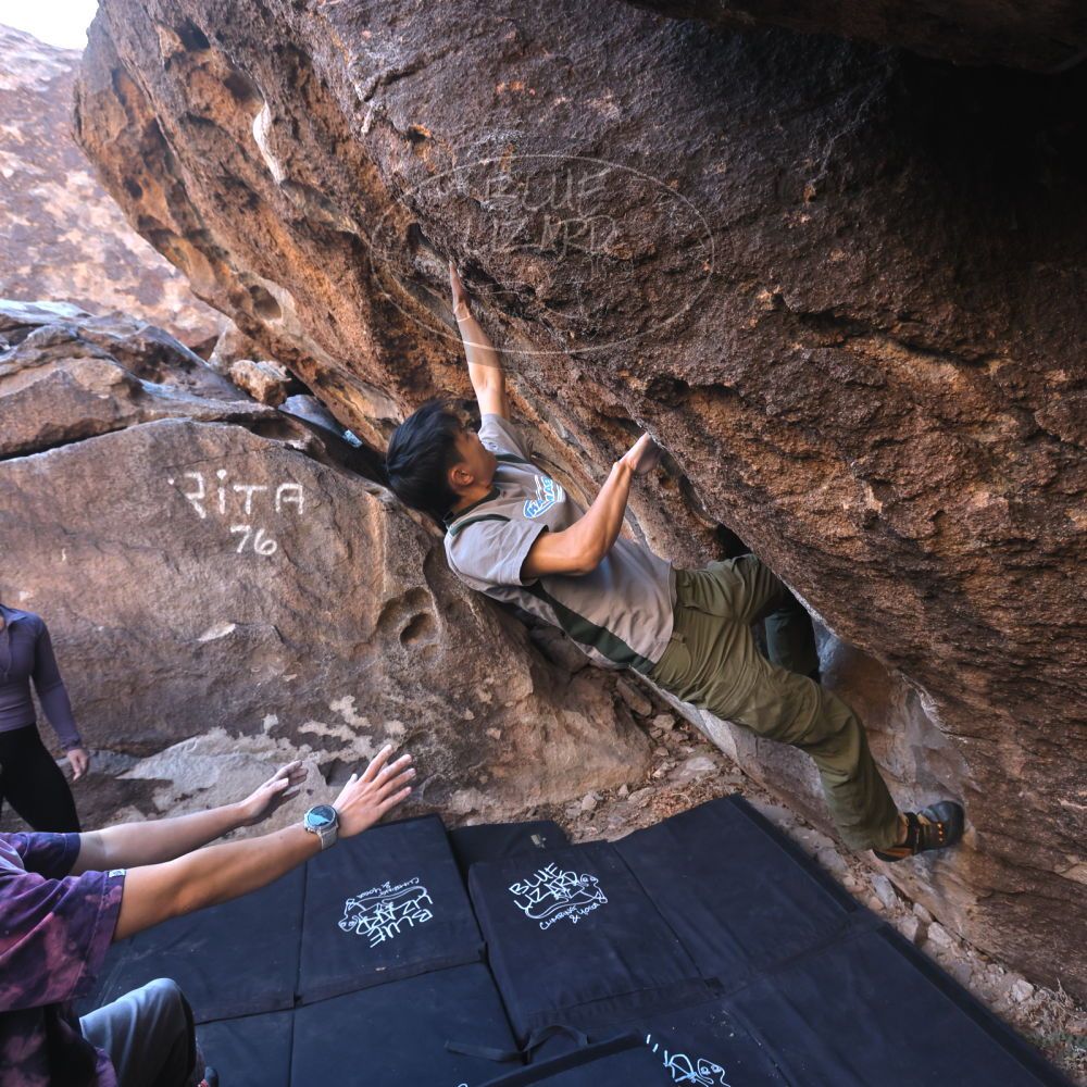 Filename: SRM_20250102_0953360.jpg
Aperture: f/5.6
Shutter Speed: 1/250
Body: Canon EOS R6
Lens: Canon EF 16-35mm f/2.8 L