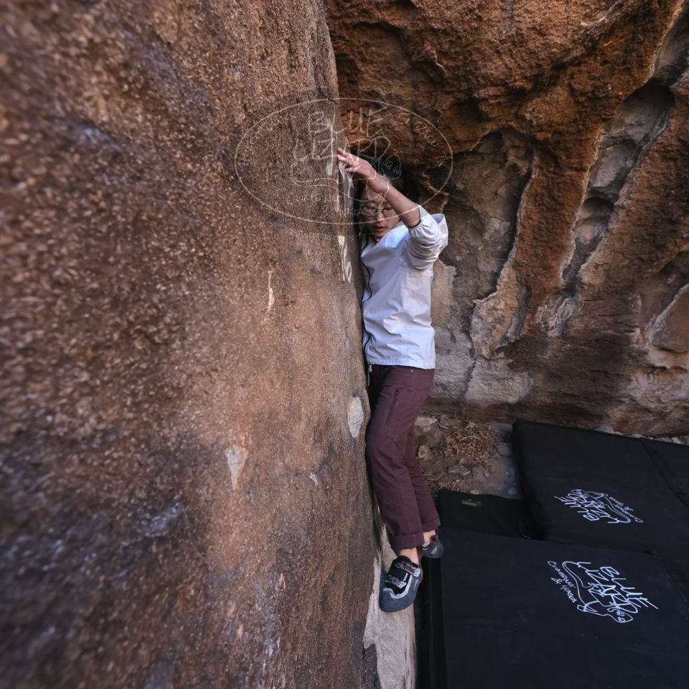 Filename: SRM_20250102_1040230.jpg
Aperture: f/5.6
Shutter Speed: 1/250
Body: Canon EOS R6
Lens: Canon EF 16-35mm f/2.8 L