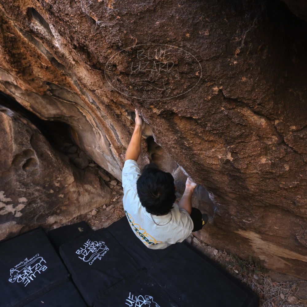 Filename: SRM_20250102_1047500.jpg
Aperture: f/5.6
Shutter Speed: 1/250
Body: Canon EOS R6
Lens: Canon EF 16-35mm f/2.8 L