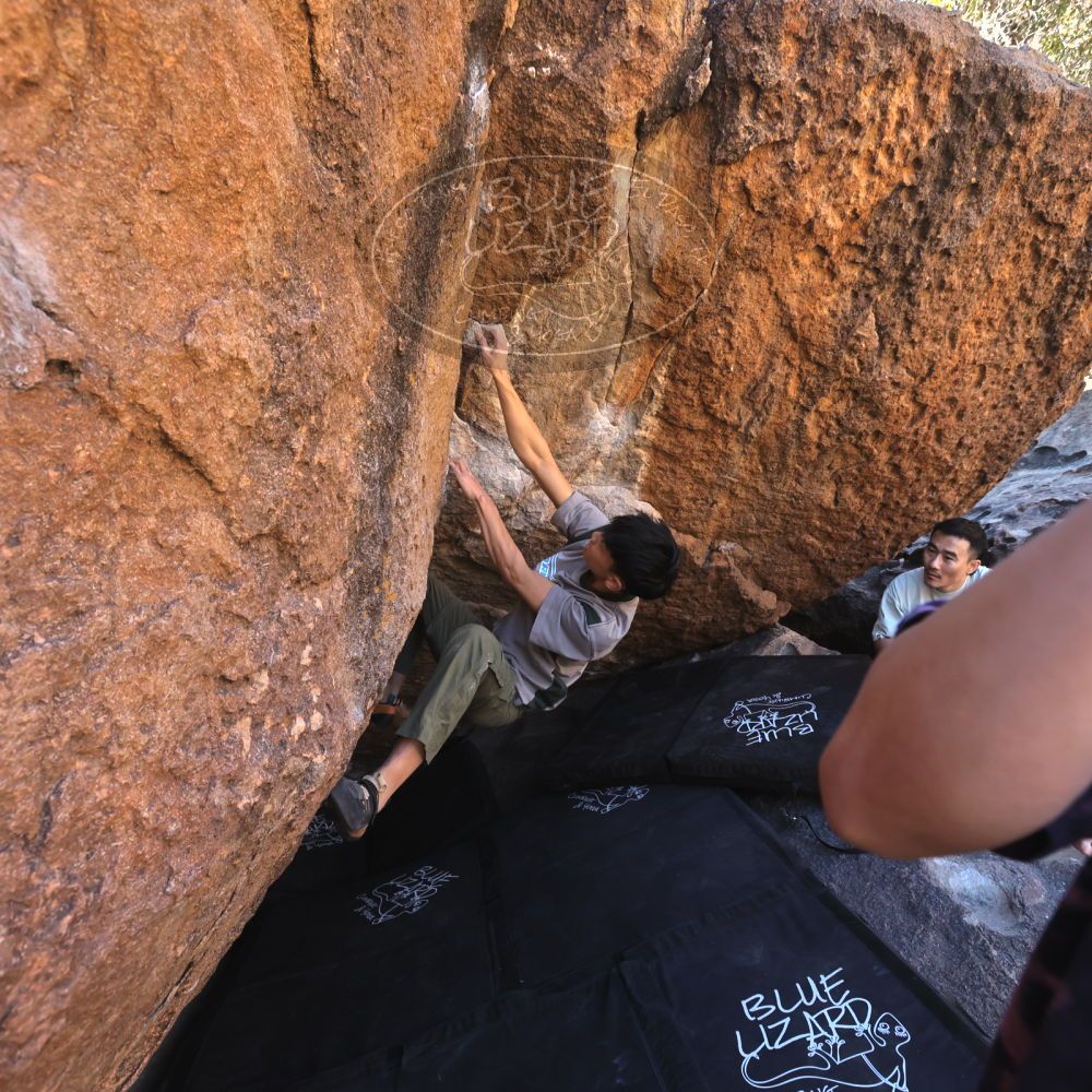 

Filename: SRM_20250102_1105440.jpg
Aperture: f/5.6
Shutter Speed: 1/400
Body: Canon EOS R6
Lens: Canon EF 16-35mm f/2.8 L