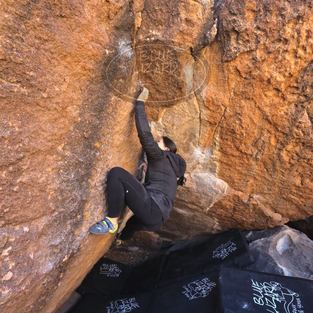 

Filename: SRM_20250102_1116090.jpg
Aperture: f/5.6
Shutter Speed: 1/400
Body: Canon EOS R6
Lens: Canon EF 16-35mm f/2.8 L