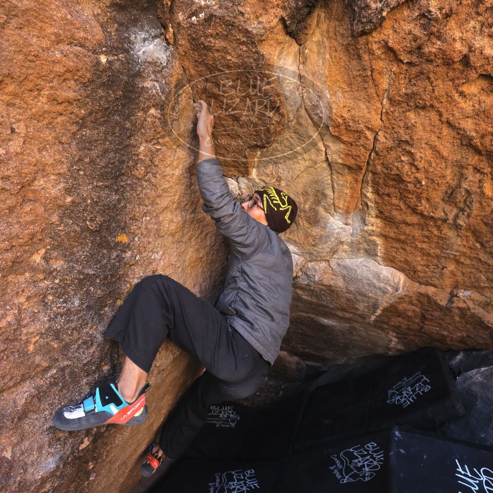 Filename: SRM_20250102_1118020.jpg
Aperture: f/5.6
Shutter Speed: 1/400
Body: Canon EOS R6
Lens: Canon EF 16-35mm f/2.8 L