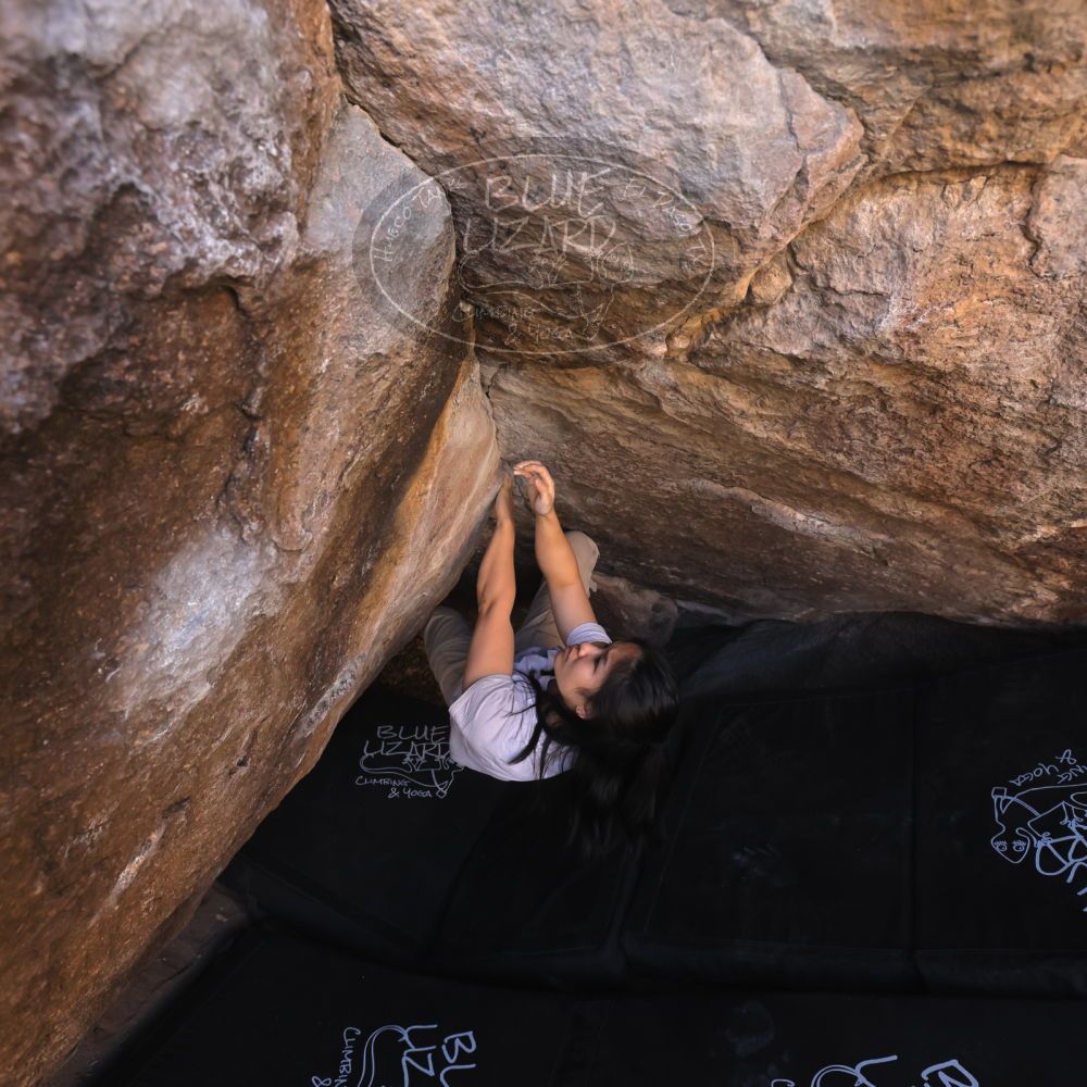 

Filename: SRM_20250102_1121450.jpg
Aperture: f/5.6
Shutter Speed: 1/400
Body: Canon EOS R6
Lens: Canon EF 16-35mm f/2.8 L