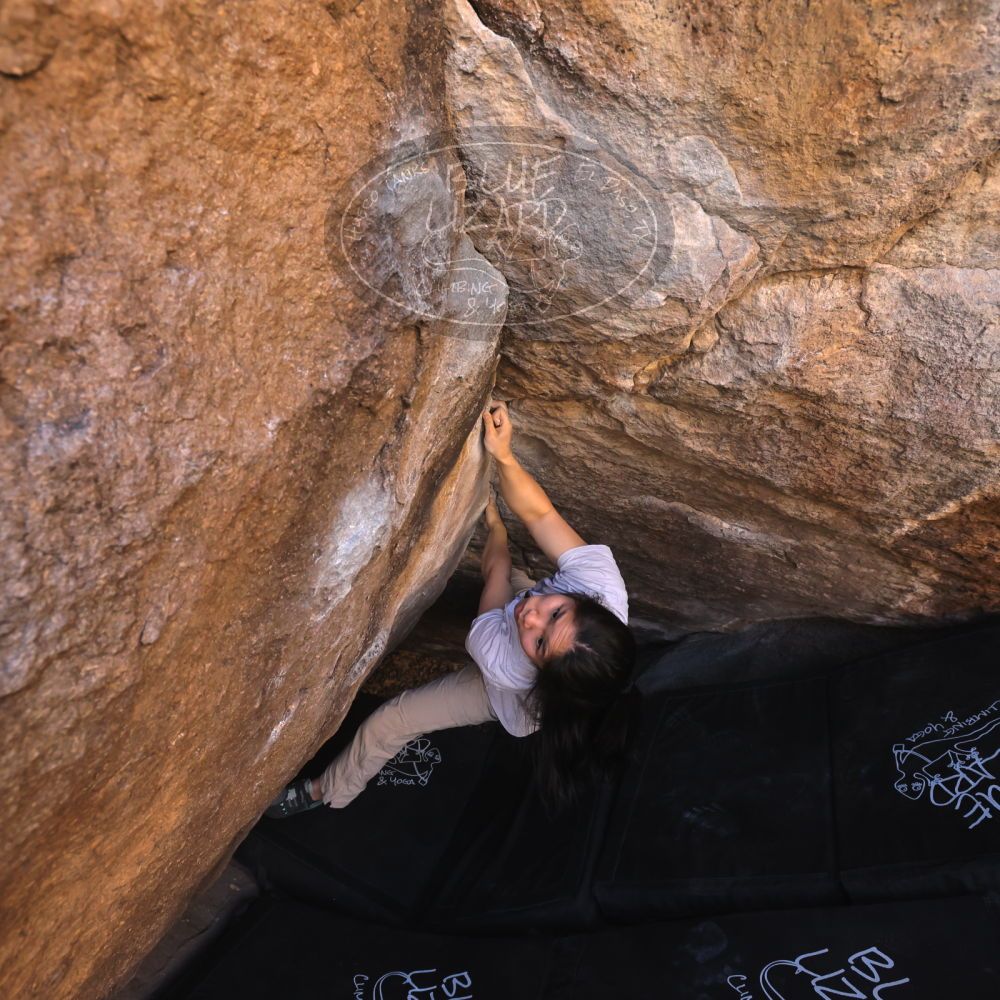 

Filename: SRM_20250102_1122440.jpg
Aperture: f/5.6
Shutter Speed: 1/400
Body: Canon EOS R6
Lens: Canon EF 16-35mm f/2.8 L