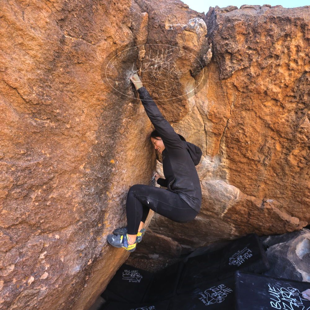 Filename: SRM_20250102_1123130.jpg
Aperture: f/5.6
Shutter Speed: 1/400
Body: Canon EOS R6
Lens: Canon EF 16-35mm f/2.8 L