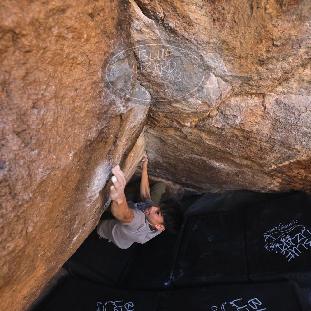 

Filename: SRM_20250102_1128450.jpg
Aperture: f/5.6
Shutter Speed: 1/400
Body: Canon EOS R6
Lens: Canon EF 16-35mm f/2.8 L