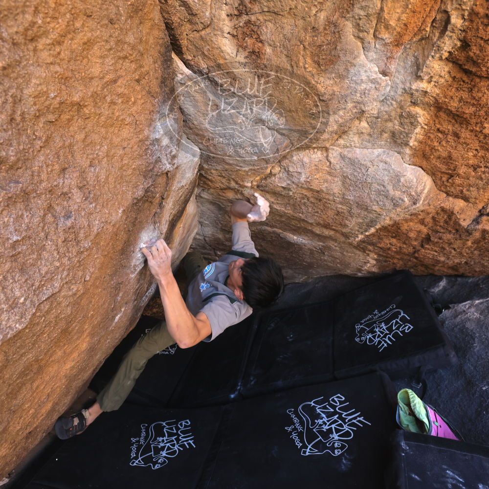 Filename: SRM_20250102_1128530.jpg
Aperture: f/5.6
Shutter Speed: 1/400
Body: Canon EOS R6
Lens: Canon EF 16-35mm f/2.8 L