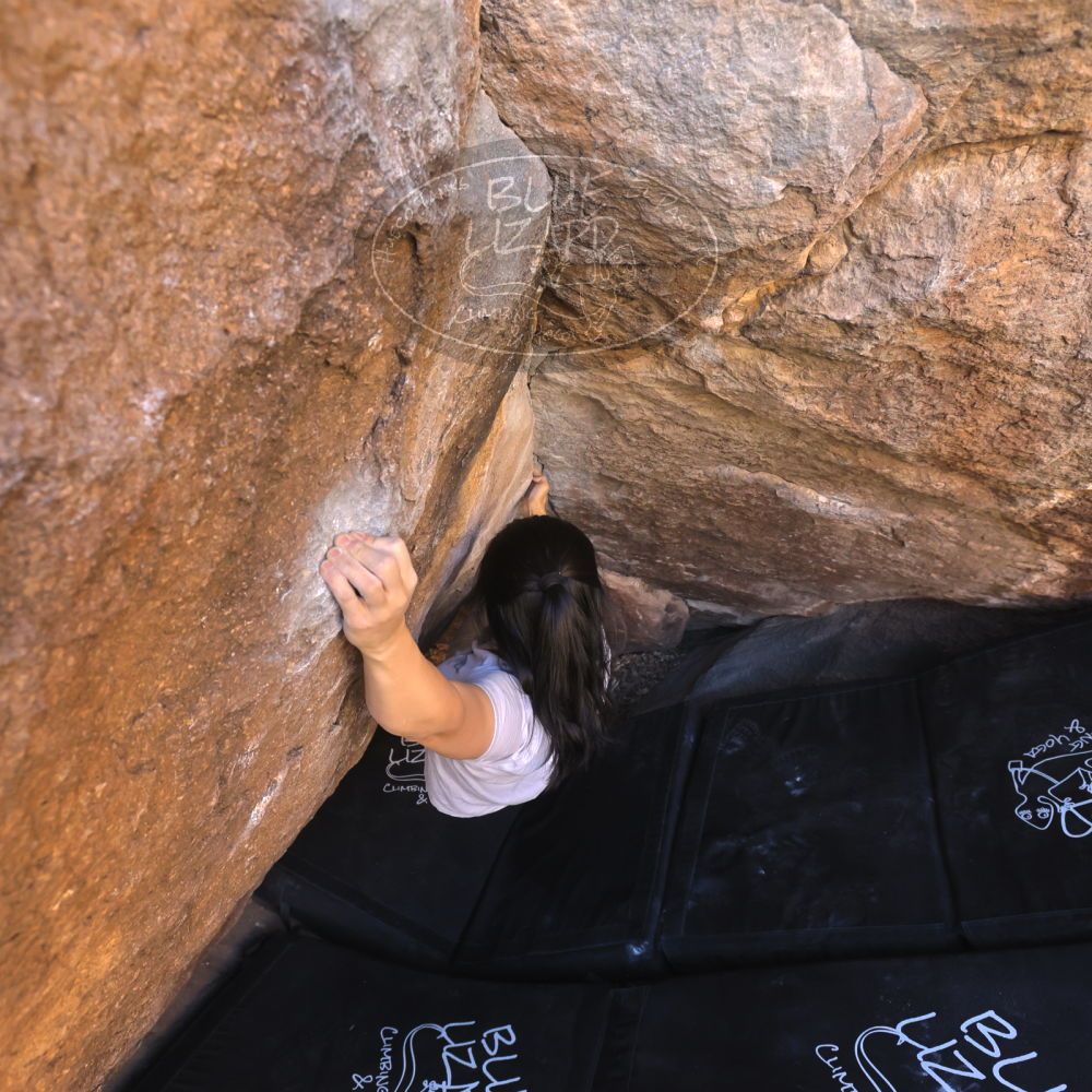 Filename: SRM_20250102_1130540.jpg
Aperture: f/5.6
Shutter Speed: 1/400
Body: Canon EOS R6
Lens: Canon EF 16-35mm f/2.8 L