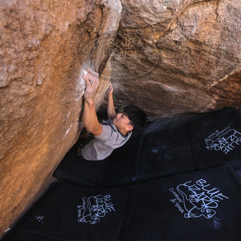 

Filename: SRM_20250102_1132250.jpg
Aperture: f/5.6
Shutter Speed: 1/400
Body: Canon EOS R6
Lens: Canon EF 16-35mm f/2.8 L