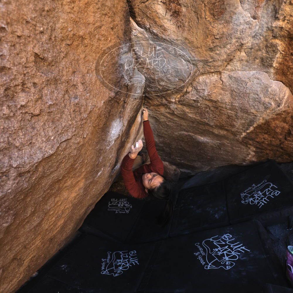 

Filename: SRM_20250102_1151340.jpg
Aperture: f/4.0
Shutter Speed: 1/400
Body: Canon EOS R6
Lens: Canon EF 16-35mm f/2.8 L