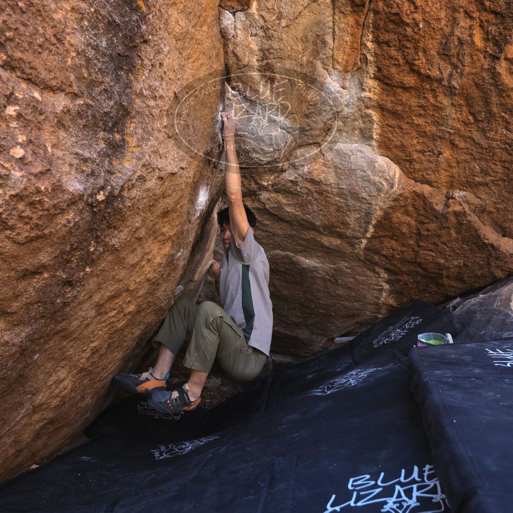 

Filename: SRM_20250102_1155140.jpg
Aperture: f/4.0
Shutter Speed: 1/400
Body: Canon EOS R6
Lens: Canon EF 16-35mm f/2.8 L