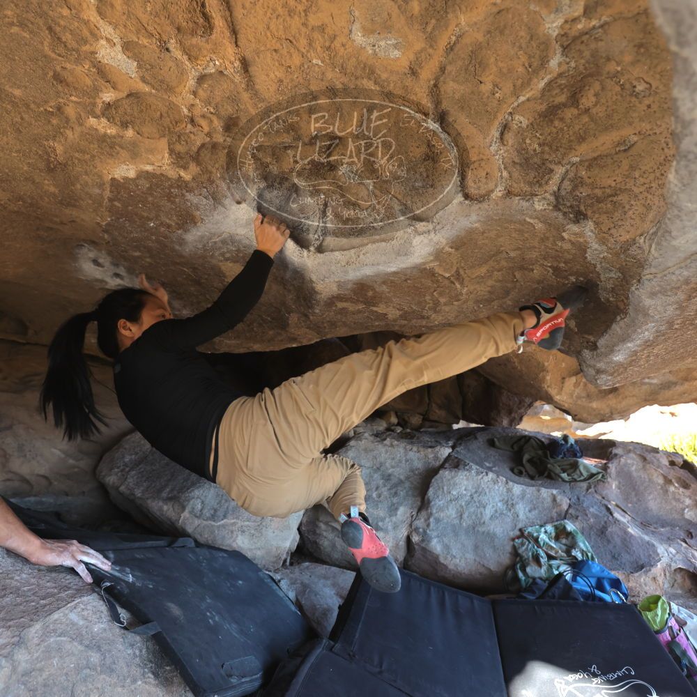 Filename: SRM_20250102_1442522.jpg
Aperture: f/4.0
Shutter Speed: 1/400
Body: Canon EOS R6
Lens: Canon EF 16-35mm f/2.8 L