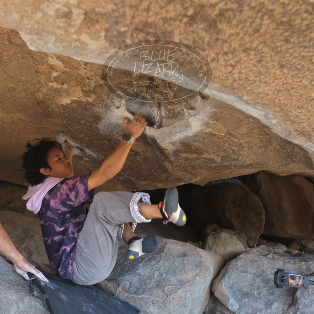 Filename: SRM_20250102_1444190.jpg
Aperture: f/4.0
Shutter Speed: 1/400
Body: Canon EOS R6
Lens: Canon EF 16-35mm f/2.8 L