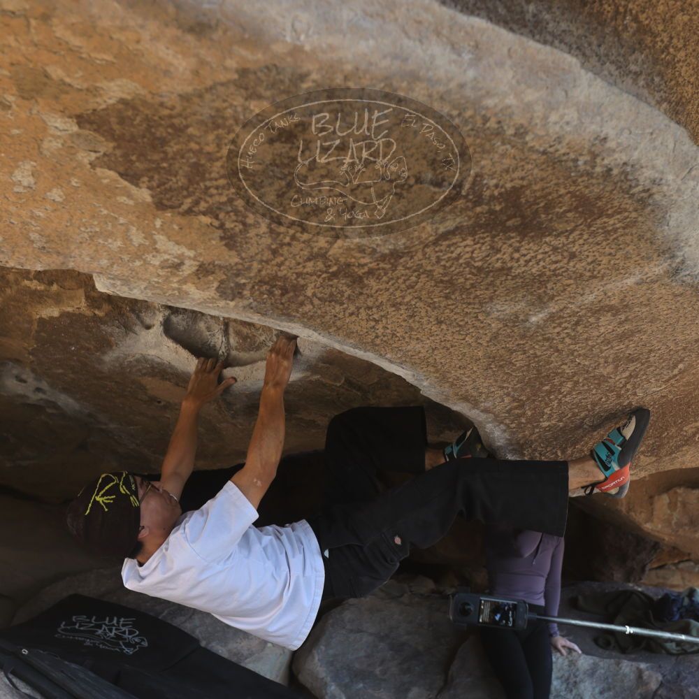 

Filename: SRM_20250102_1447191.jpg
Aperture: f/4.0
Shutter Speed: 1/400
Body: Canon EOS R6
Lens: Canon EF 16-35mm f/2.8 L