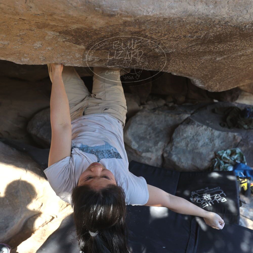 Filename: SRM_20250102_1502480.jpg
Aperture: f/4.0
Shutter Speed: 1/400
Body: Canon EOS R6
Lens: Canon EF 16-35mm f/2.8 L