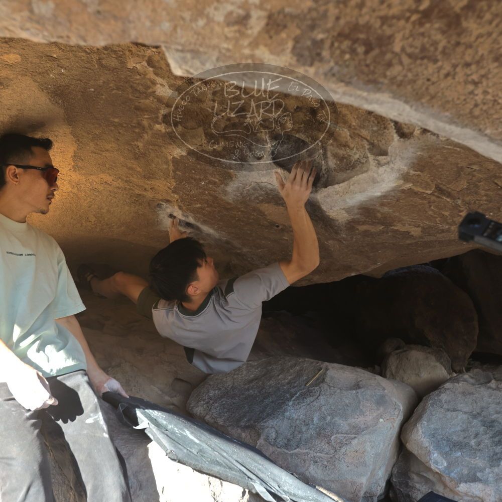 Filename: SRM_20250102_1514080.jpg
Aperture: f/4.0
Shutter Speed: 1/400
Body: Canon EOS R6
Lens: Canon EF 16-35mm f/2.8 L