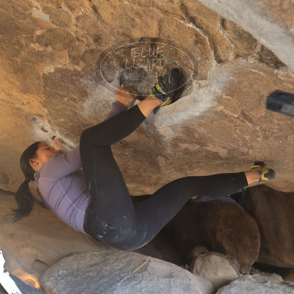 Filename: SRM_20250102_1518490.jpg
Aperture: f/4.0
Shutter Speed: 1/400
Body: Canon EOS R6
Lens: Canon EF 16-35mm f/2.8 L