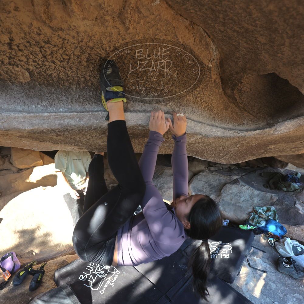 Filename: SRM_20250102_1519140.jpg
Aperture: f/4.0
Shutter Speed: 1/400
Body: Canon EOS R6
Lens: Canon EF 16-35mm f/2.8 L