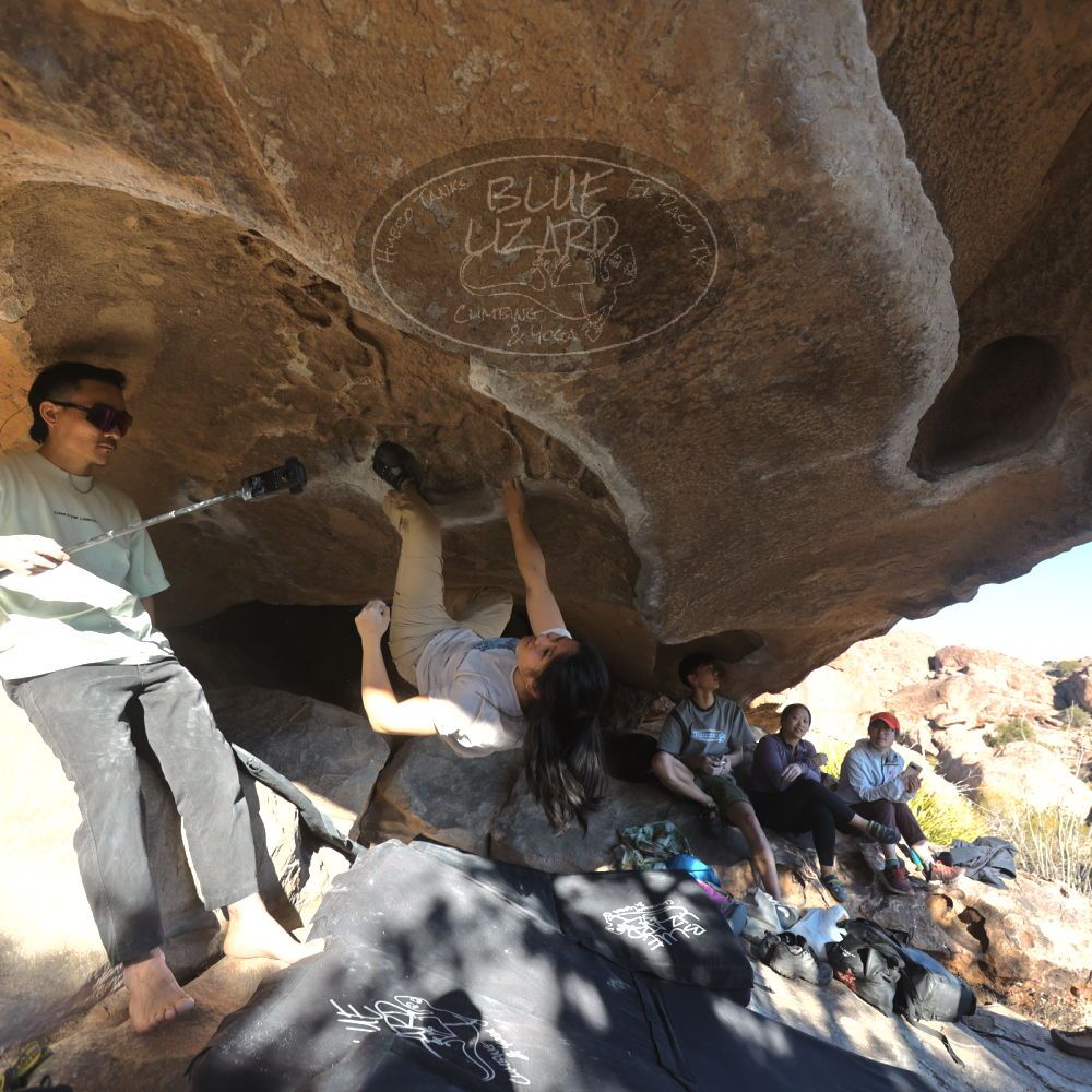 Filename: SRM_20250102_1522270.jpg
Aperture: f/4.0
Shutter Speed: 1/400
Body: Canon EOS R6
Lens: Canon EF 16-35mm f/2.8 L