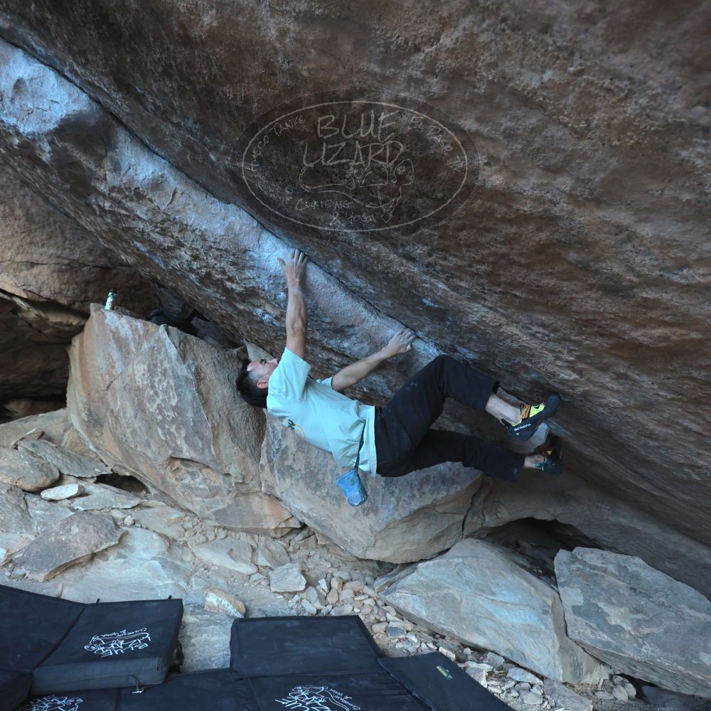 Filename: SRM_20250102_1637350.jpg
Aperture: f/4.0
Shutter Speed: 1/400
Body: Canon EOS R6
Lens: Canon EF 16-35mm f/2.8 L