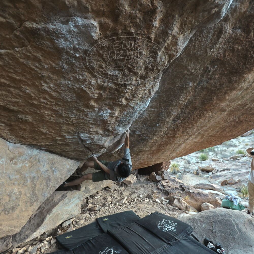 Filename: SRM_20250102_1644200.jpg
Aperture: f/4.0
Shutter Speed: 1/400
Body: Canon EOS R6
Lens: Canon EF 16-35mm f/2.8 L