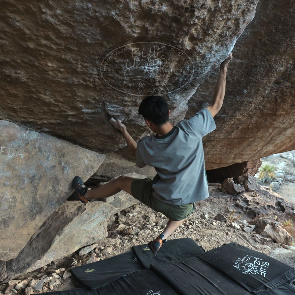 Filename: SRM_20250102_1644310.jpg
Aperture: f/4.0
Shutter Speed: 1/400
Body: Canon EOS R6
Lens: Canon EF 16-35mm f/2.8 L