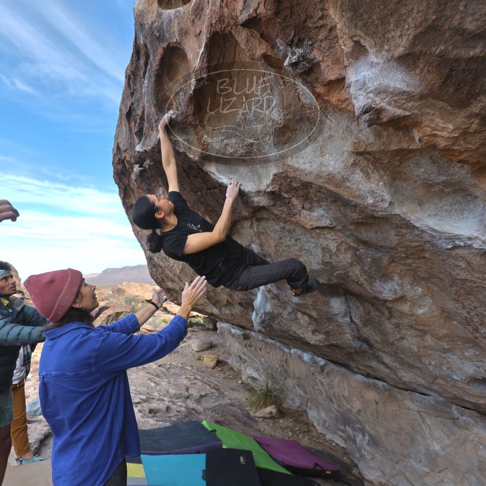 

Filename: SRM_20250104_1039220.jpg
Aperture: f/4.0
Shutter Speed: 1/400
Body: Canon EOS R6
Lens: Canon EF 16-35mm f/2.8 L