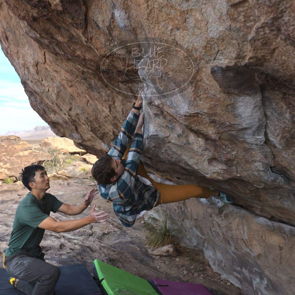 

Filename: SRM_20250104_1041430.jpg
Aperture: f/4.0
Shutter Speed: 1/400
Body: Canon EOS R6
Lens: Canon EF 16-35mm f/2.8 L