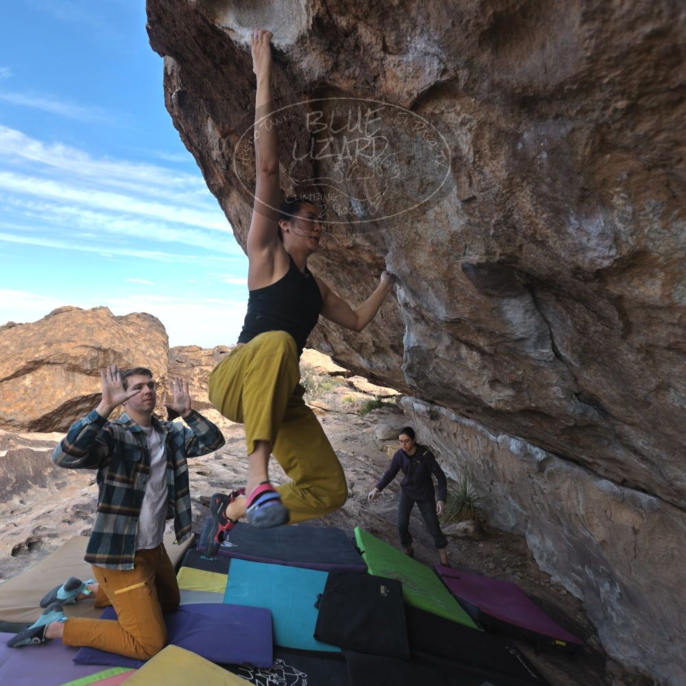 

Filename: SRM_20250104_1046040.jpg
Aperture: f/4.0
Shutter Speed: 1/400
Body: Canon EOS R6
Lens: Canon EF 16-35mm f/2.8 L