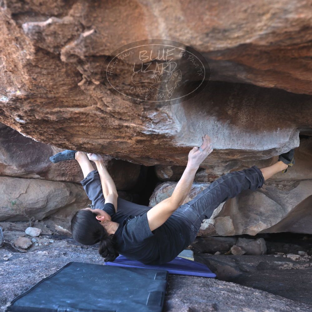 

Filename: SRM_20250104_1123590.jpg
Aperture: f/4.5
Shutter Speed: 1/400
Body: Canon EOS R6
Lens: Canon EF 16-35mm f/2.8 L