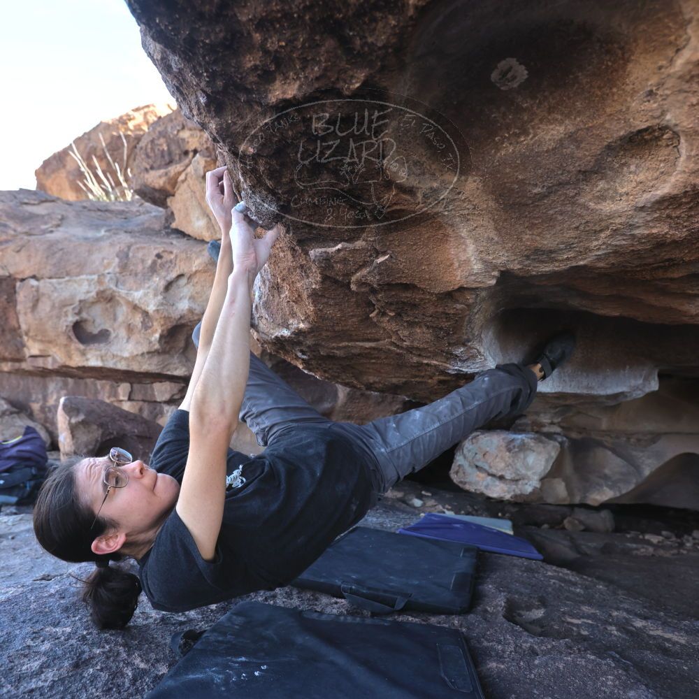 

Filename: SRM_20250104_1124240.jpg
Aperture: f/4.5
Shutter Speed: 1/400
Body: Canon EOS R6
Lens: Canon EF 16-35mm f/2.8 L