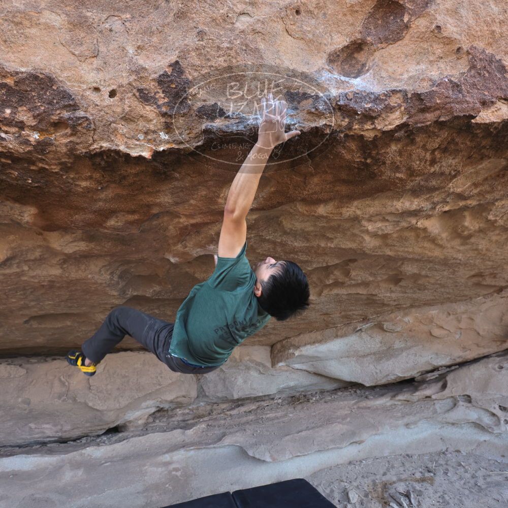 

Filename: SRM_20250104_1135010.jpg
Aperture: f/4.5
Shutter Speed: 1/400
Body: Canon EOS R6
Lens: Canon EF 16-35mm f/2.8 L