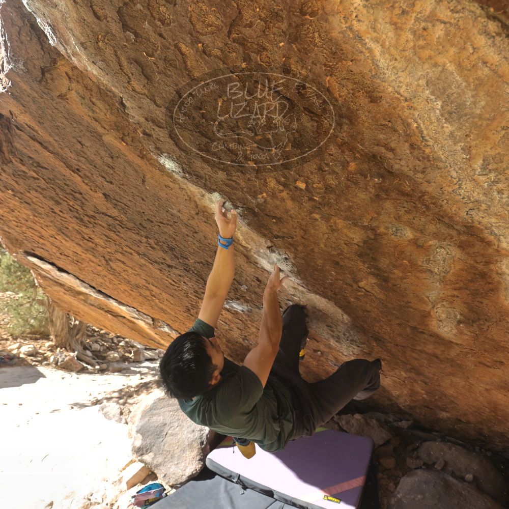 

Filename: SRM_20250104_1234340.jpg
Aperture: f/5.6
Shutter Speed: 1/400
Body: Canon EOS R6
Lens: Canon EF 16-35mm f/2.8 L