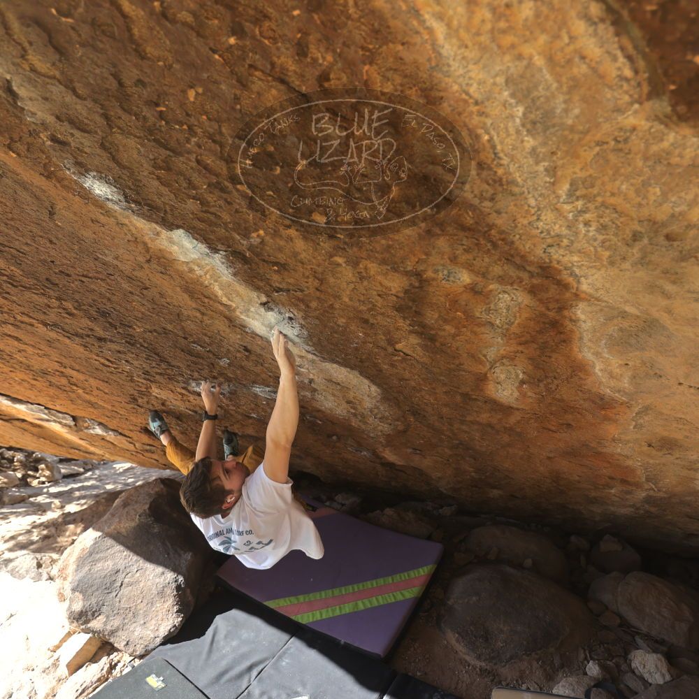 

Filename: SRM_20250104_1305380.jpg
Aperture: f/3.2
Shutter Speed: 1/400
Body: Canon EOS R6
Lens: Canon EF 16-35mm f/2.8 L