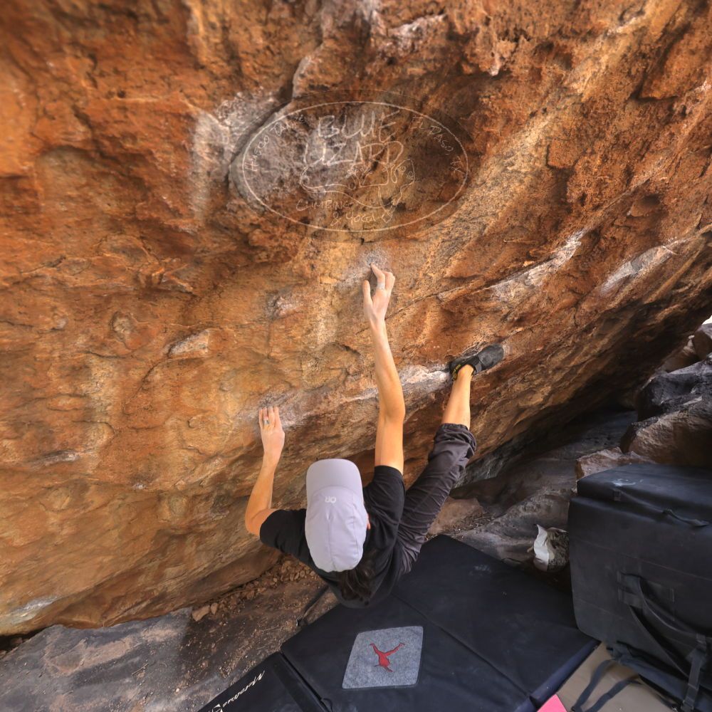 

Filename: SRM_20250104_1321070.jpg
Aperture: f/3.2
Shutter Speed: 1/400
Body: Canon EOS R6
Lens: Canon EF 16-35mm f/2.8 L