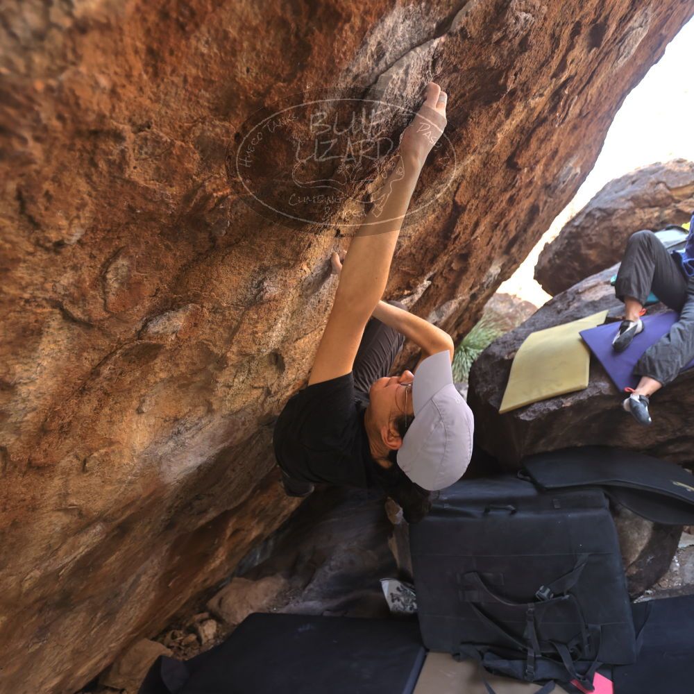 

Filename: SRM_20250104_1336090.jpg
Aperture: f/2.8
Shutter Speed: 1/400
Body: Canon EOS R6
Lens: Canon EF 16-35mm f/2.8 L