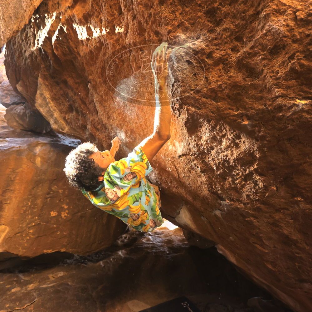 

Filename: SRM_20250104_1535200.jpg
Aperture: f/4.0
Shutter Speed: 1/400
Body: Canon EOS R6
Lens: Canon EF 16-35mm f/2.8 L