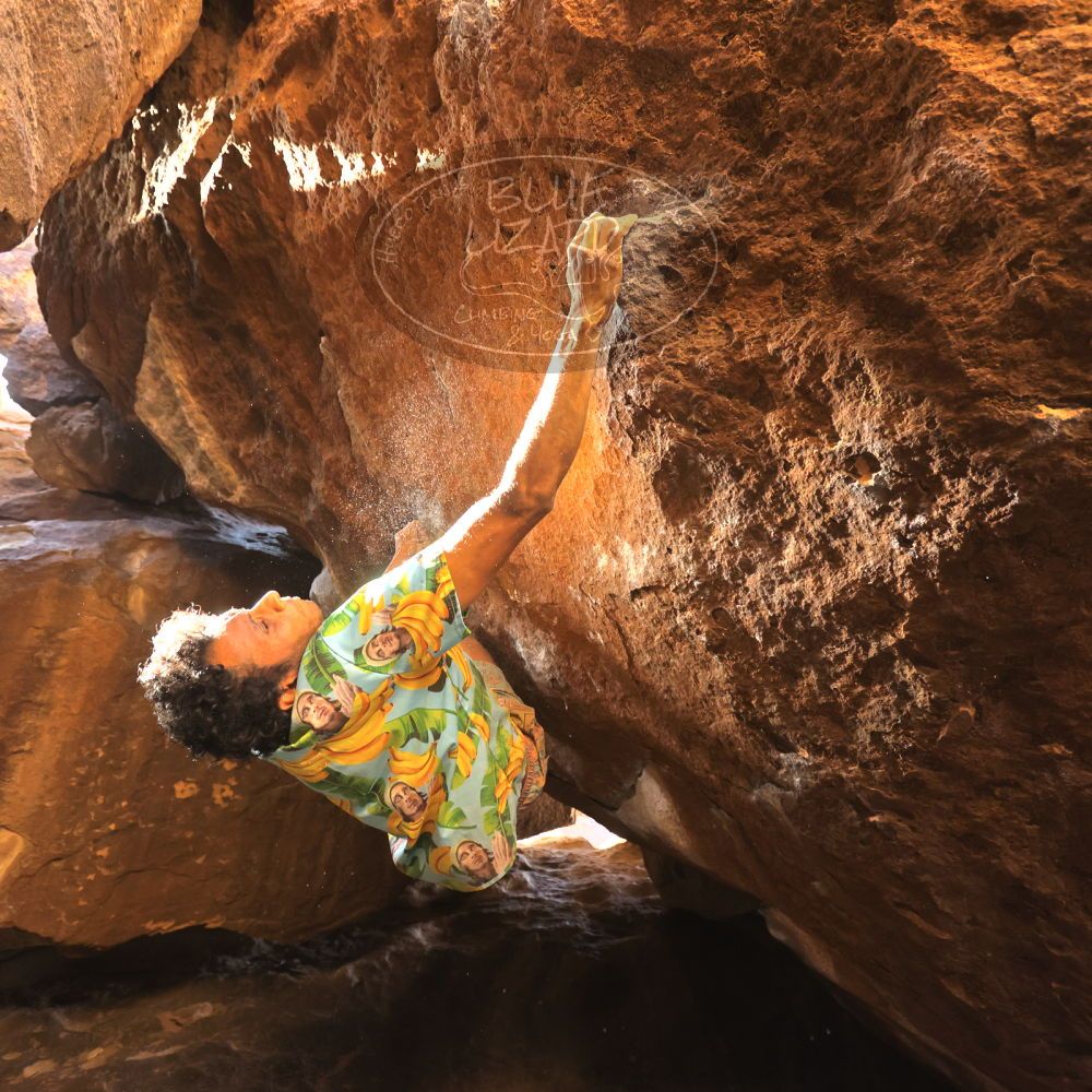 

Filename: SRM_20250104_1535201.jpg
Aperture: f/4.0
Shutter Speed: 1/400
Body: Canon EOS R6
Lens: Canon EF 16-35mm f/2.8 L