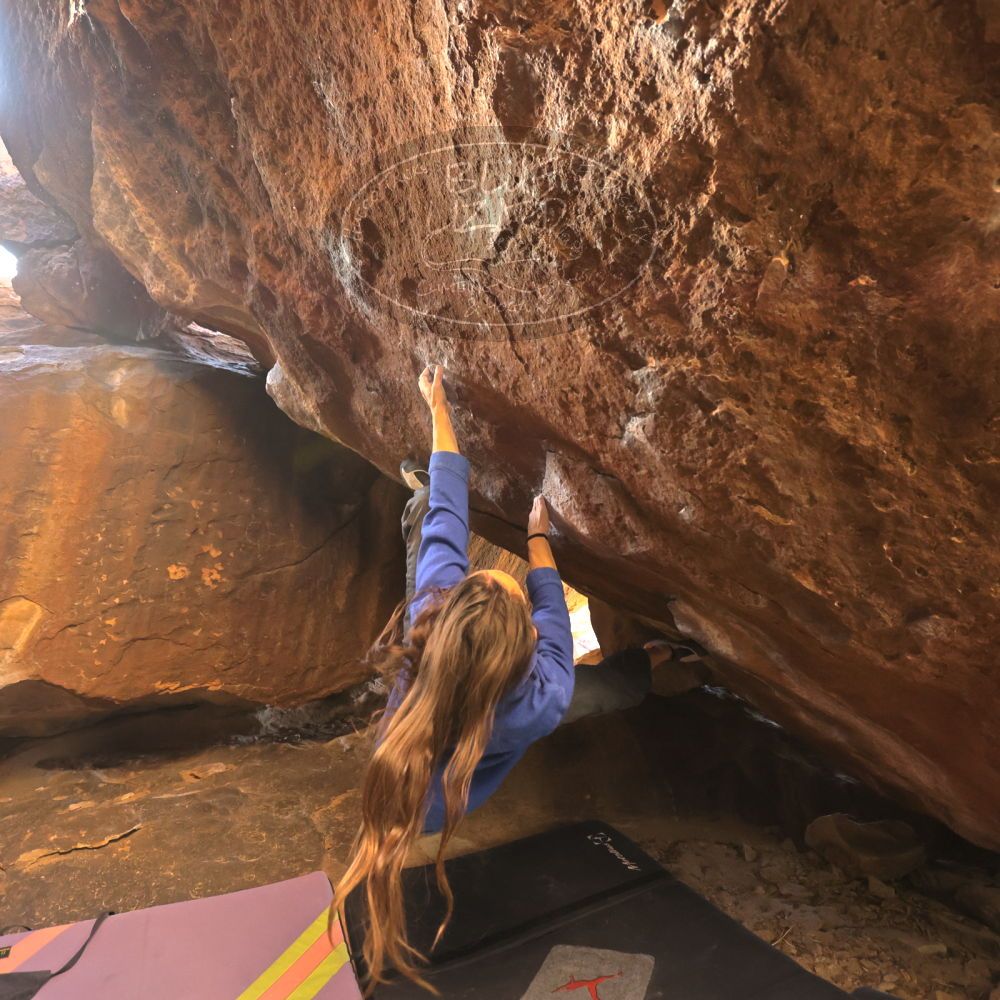 

Filename: SRM_20250104_1537350.jpg
Aperture: f/4.0
Shutter Speed: 1/400
Body: Canon EOS R6
Lens: Canon EF 16-35mm f/2.8 L