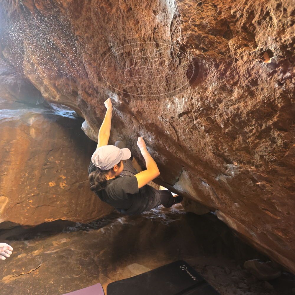 

Filename: SRM_20250104_1544420.jpg
Aperture: f/4.0
Shutter Speed: 1/400
Body: Canon EOS R6
Lens: Canon EF 16-35mm f/2.8 L