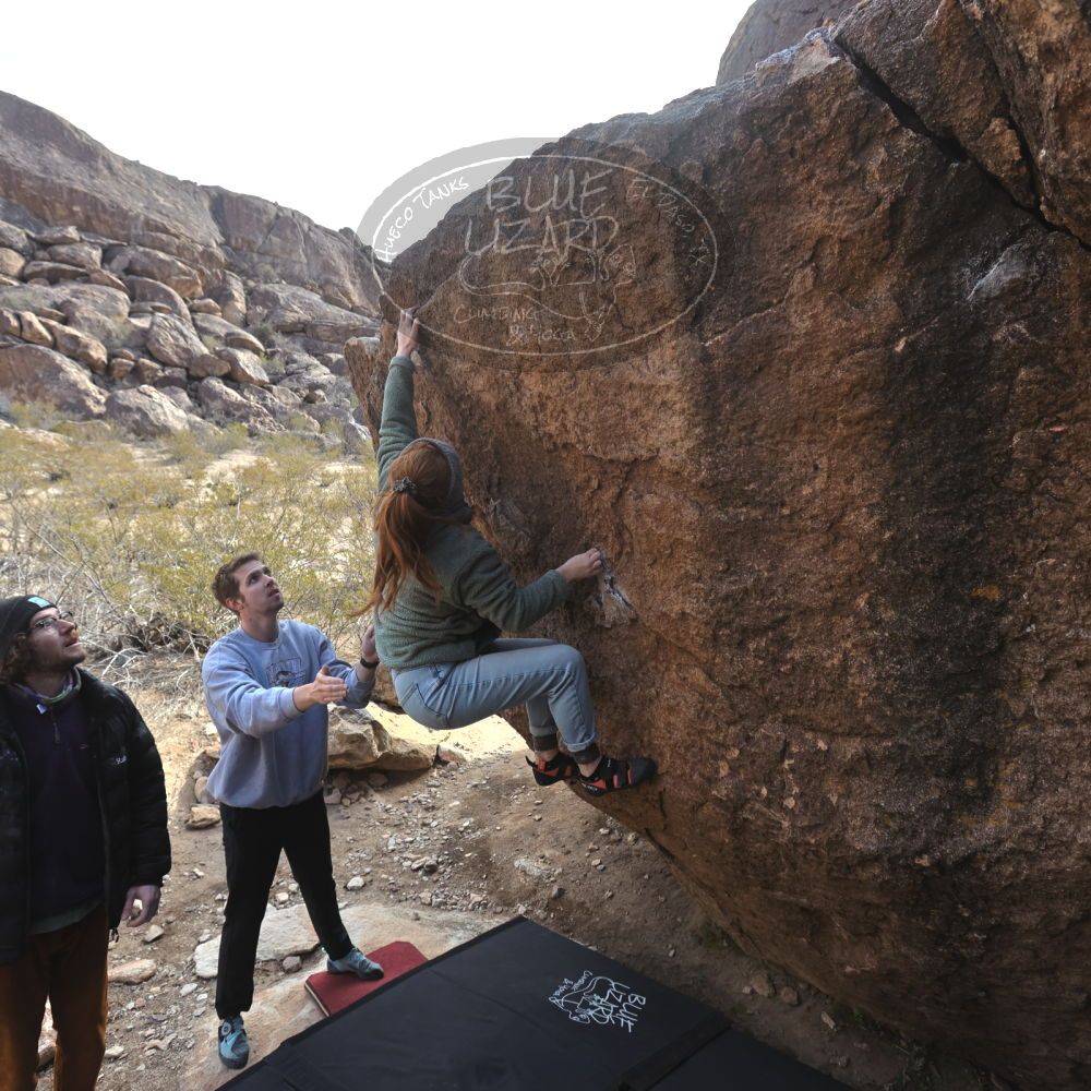 Filename: SRM_20250112_1056460.jpg
Aperture: f/5.6
Shutter Speed: 1/800
Body: Canon EOS R6
Lens: Canon EF 16-35mm f/2.8 L