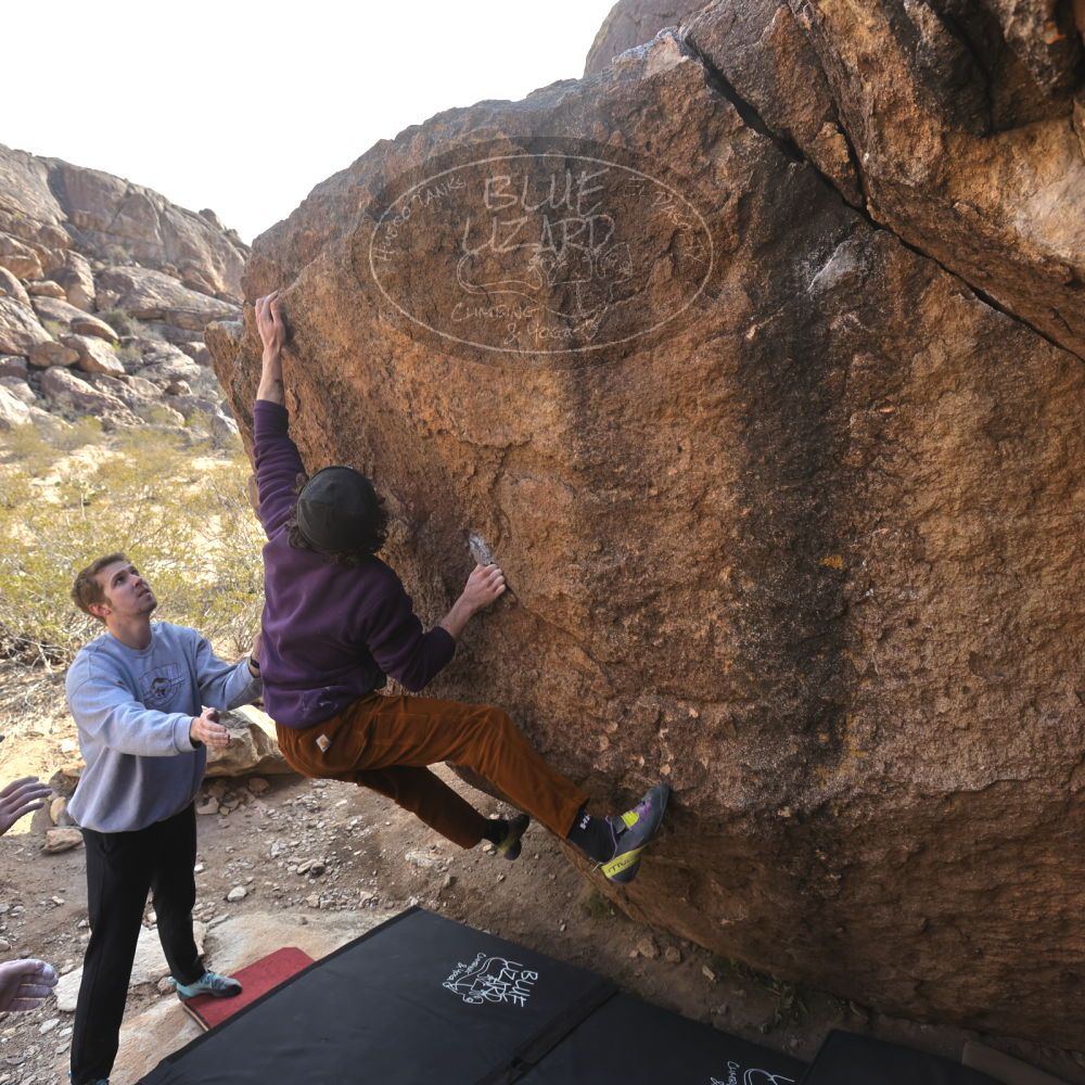 Filename: SRM_20250112_1058520.jpg
Aperture: f/5.6
Shutter Speed: 1/800
Body: Canon EOS R6
Lens: Canon EF 16-35mm f/2.8 L