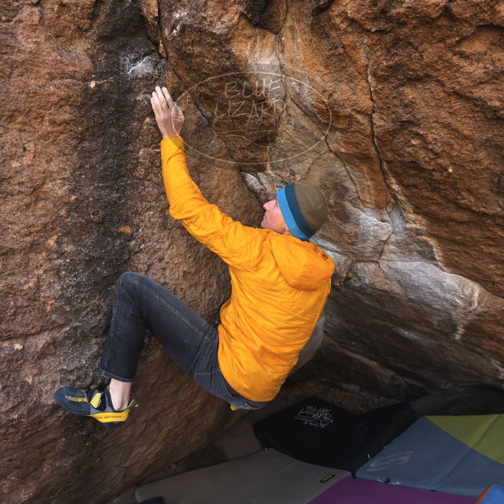 Filename: SRM_20250112_1104320.jpg
Aperture: f/5.6
Shutter Speed: 1/800
Body: Canon EOS R6
Lens: Canon EF 16-35mm f/2.8 L